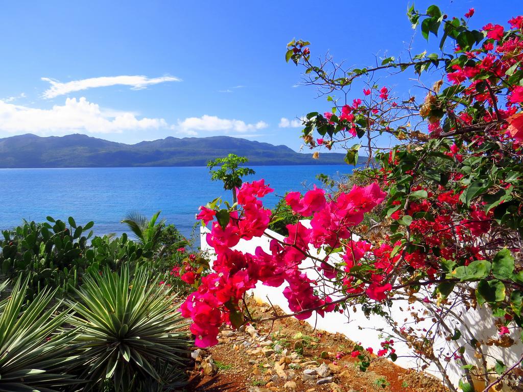 Villa Salamandra Las Galeras Eksteriør bilde